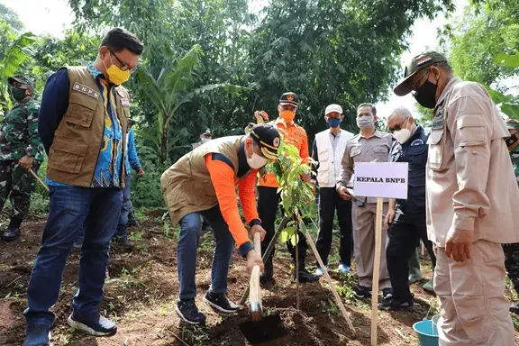 Poses Proyek Penanaman